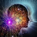 Изменение нейронных связей - ключ к изменению качества жизни и внутренней эволюции человека